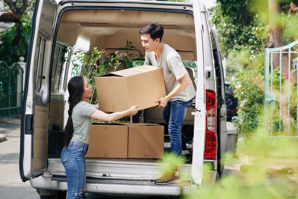 Albany The Moving Company